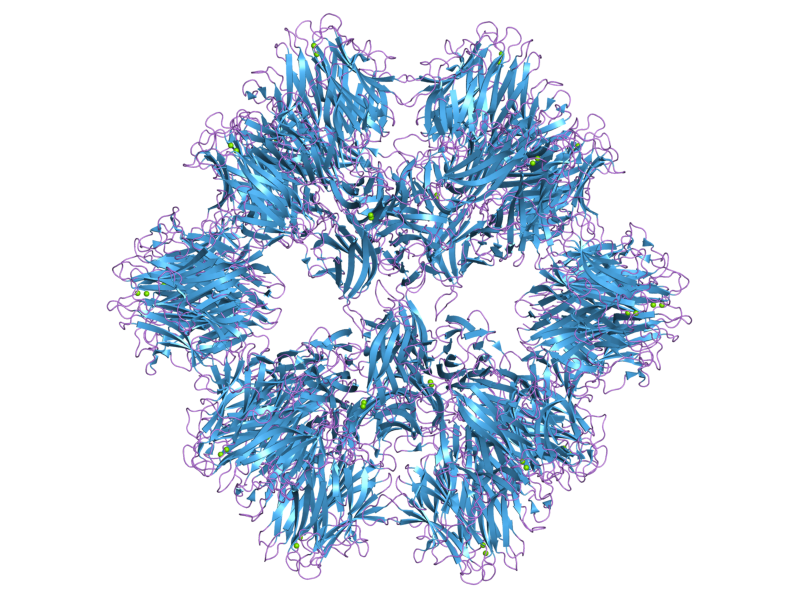 File:PDB 1otz EBI.png