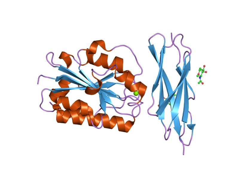 File:PDB 1t0p EBI.png