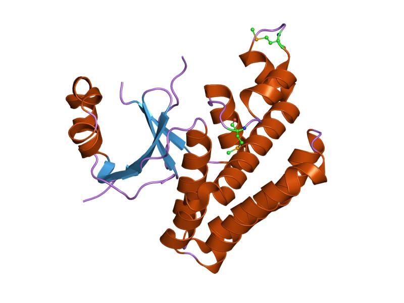 File:PDB 1tff EBI.jpg