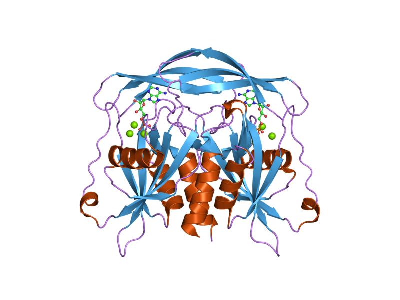 File:PDB 2dsd EBI.png