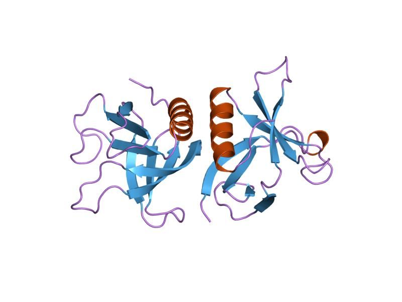 File:PDB 2dyn EBI.jpg