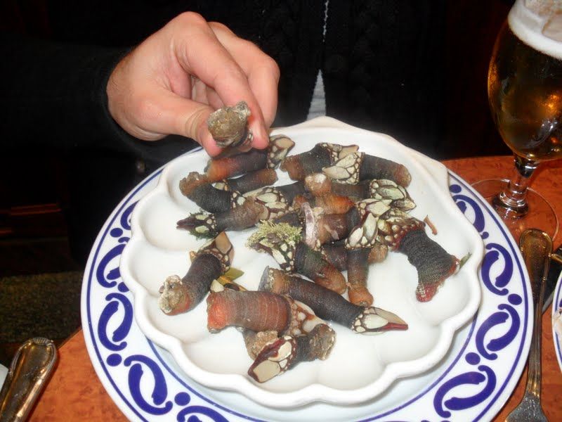 File:Percebes.iguaria.jpg