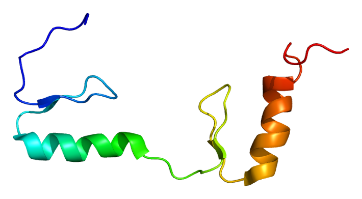 File:Protein ZFP64 PDB 1x5w.png