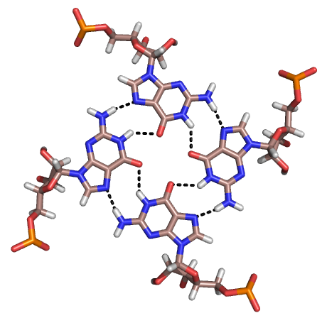 File:RNA Quadruplex.png