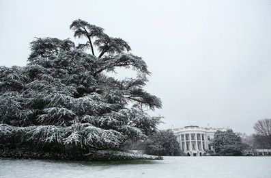 File:CedarLebanonSouthlawn.jpg