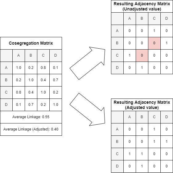 File:Cosegregation to adjacency 2.png