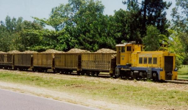 File:DaintreeSugarTrain.jpeg