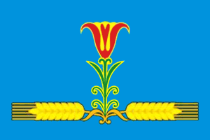 File:Flag of Amginsky rayon.png