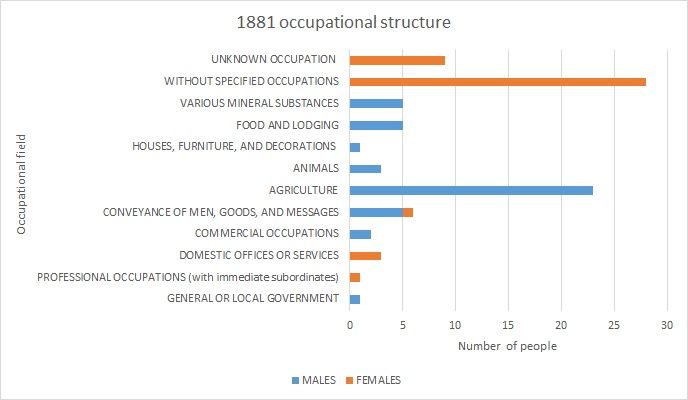 File:Occupation 1881.jpg