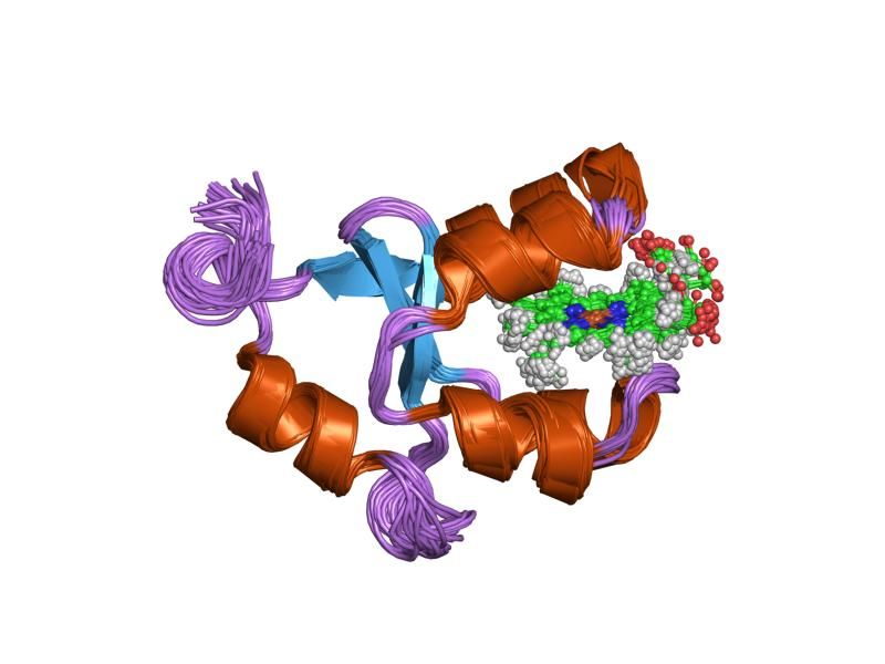 File:PDB 1j0q EBI.jpg