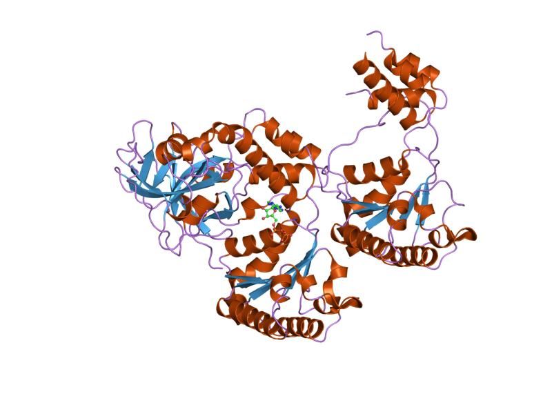 File:PDB 1r7r EBI.jpg