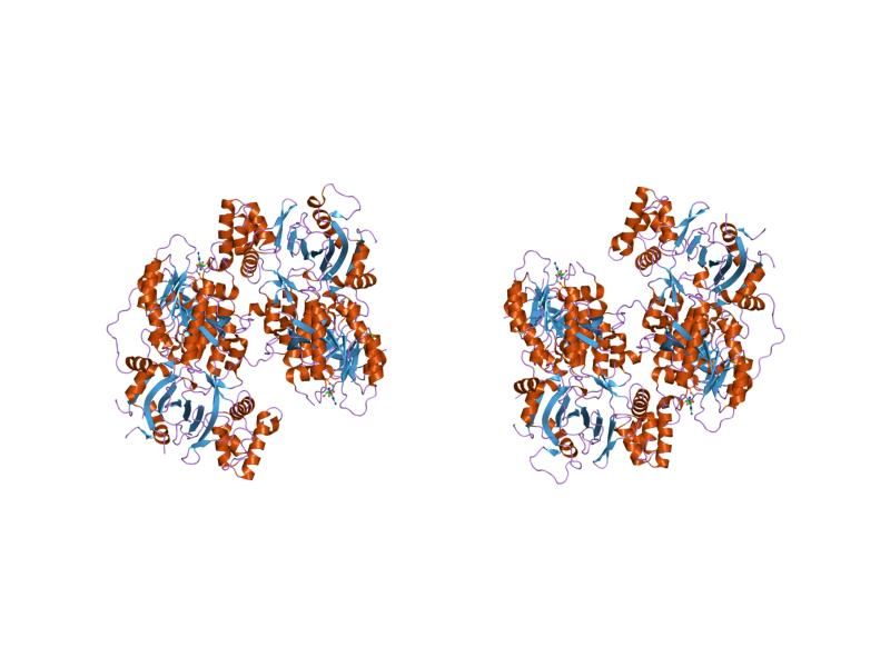 File:PDB 1vg9 EBI.jpg