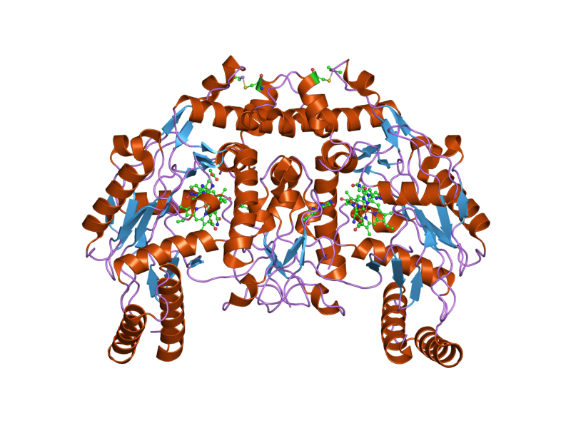 File:PDB 1zzt EBI.png