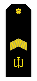 File:RAF N R7CPO 1994-2010par.png