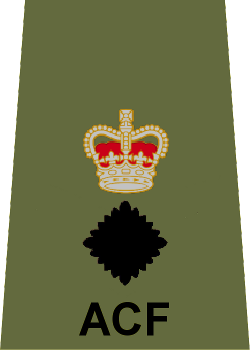 File:ACF LtCol.png