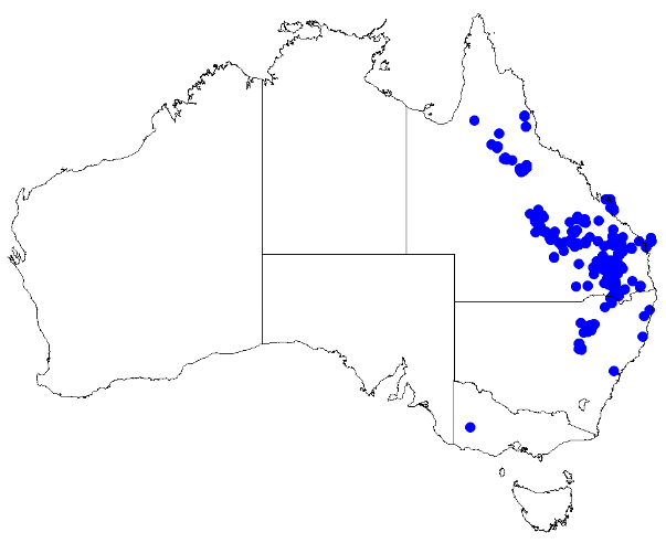 File:Boronia occidentalis DistMap82.png