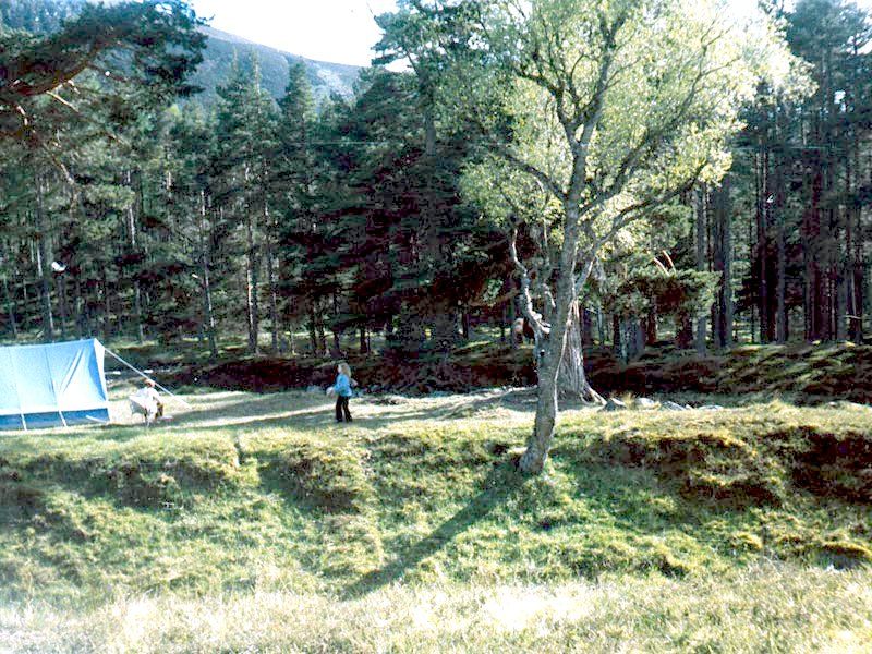 File:Canadiancampsite showing bigditch.jpg