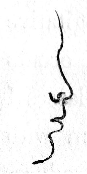 File:Class V nose.jpg