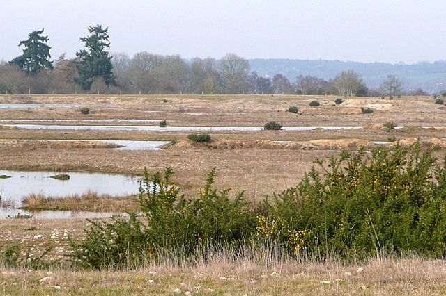 File:Crookham Common - geograph.org.uk - 1187560.jpg