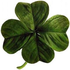 File:Four-leaved clover2.jpg