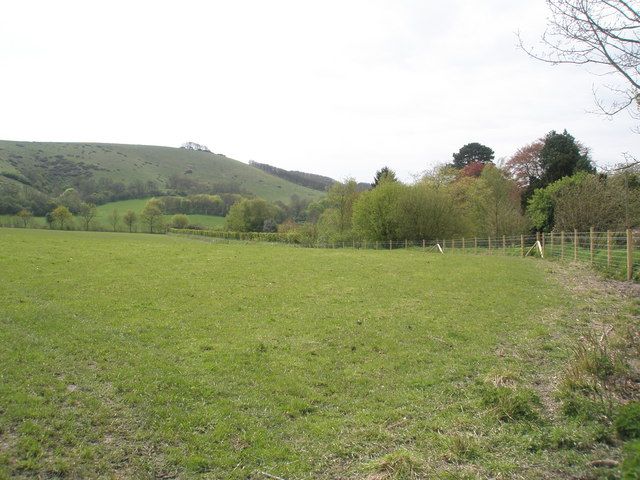 File:Harting Downs - geograph.org.uk - 795339.jpg