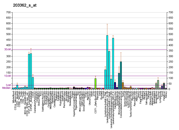 File:PBB GE MAD2L1 203362 s at fs.png