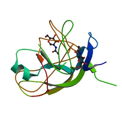 File:PBB Protein CGB image.jpg