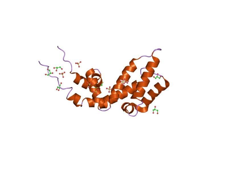 File:PDB 1dk8 EBI.jpg