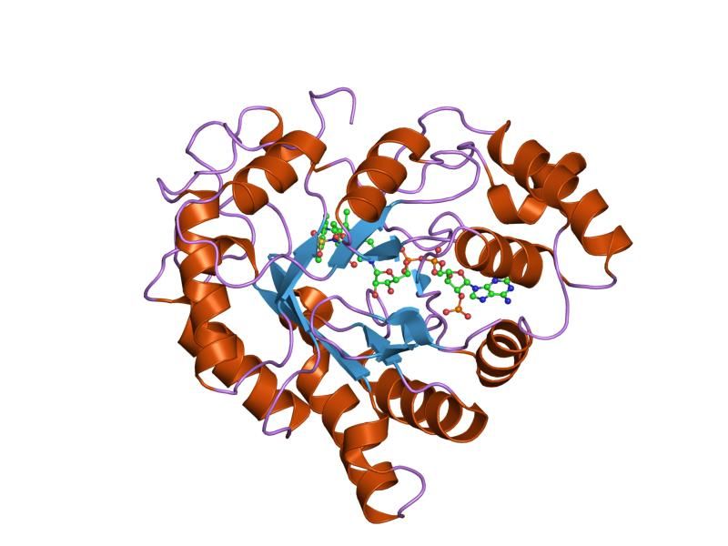 File:PDB 1el3 EBI.jpg