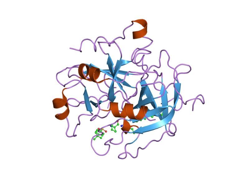 File:PDB 1eol EBI.jpg