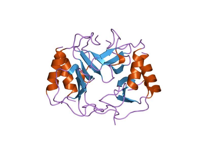 File:PDB 1f9s EBI.jpg