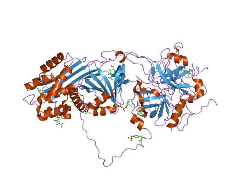 File:PDB 1jmo EBI.jpg