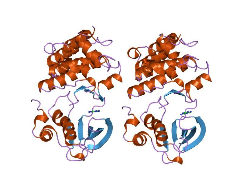 File:PDB 1jpa EBI.jpg