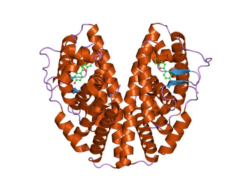 File:PDB 1u9e EBI.jpg