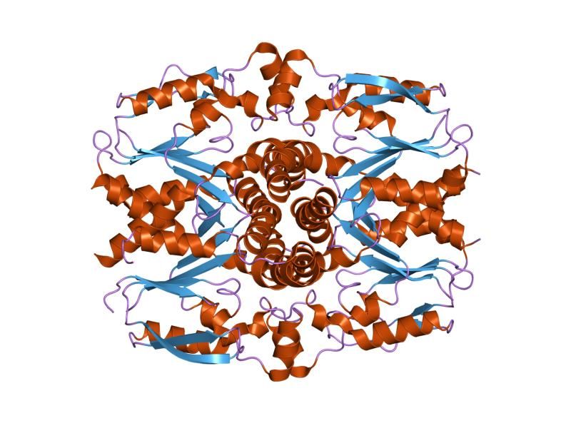 File:PDB 1ufq EBI.jpg