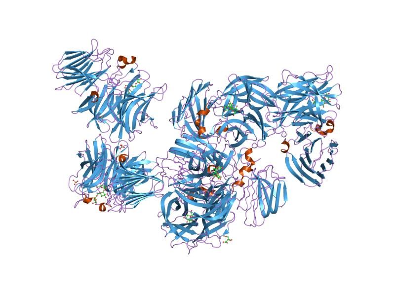 File:PDB 1w2t EBI.jpg