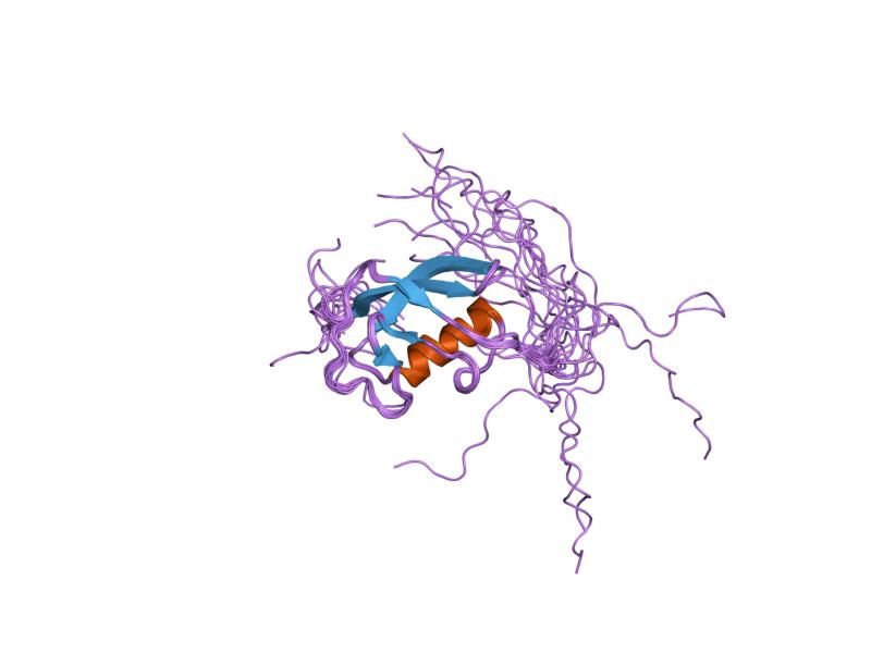 File:PDB 1wgg EBI.jpg