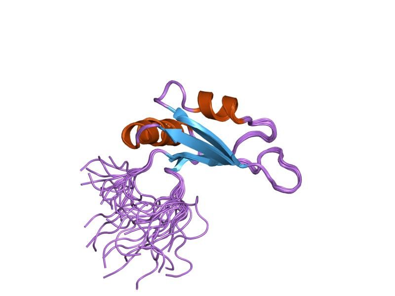 File:PDB 1x4e EBI.jpg