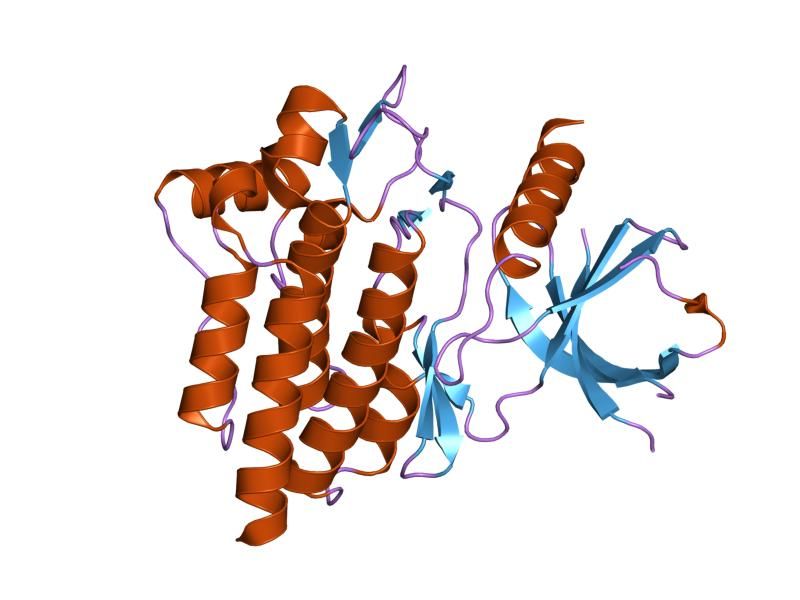 File:PDB 1xba EBI.jpg