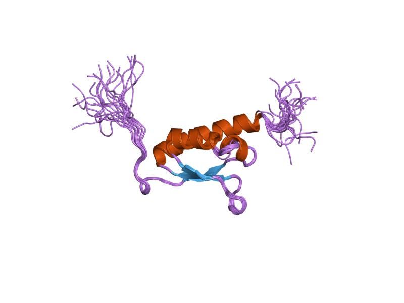 File:PDB 2ctm EBI.jpg