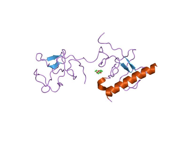 File:PDB 2doh EBI.jpg