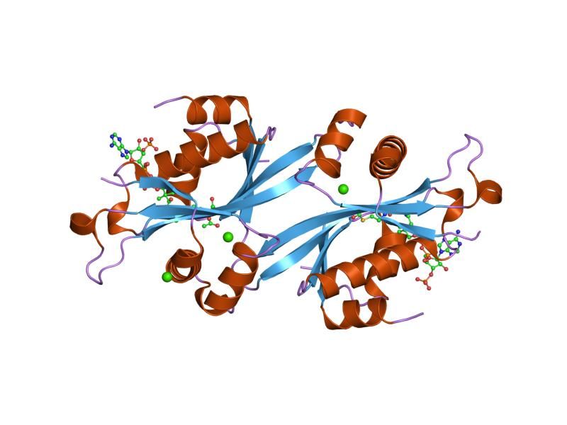 File:PDB 2fxf EBI.jpg