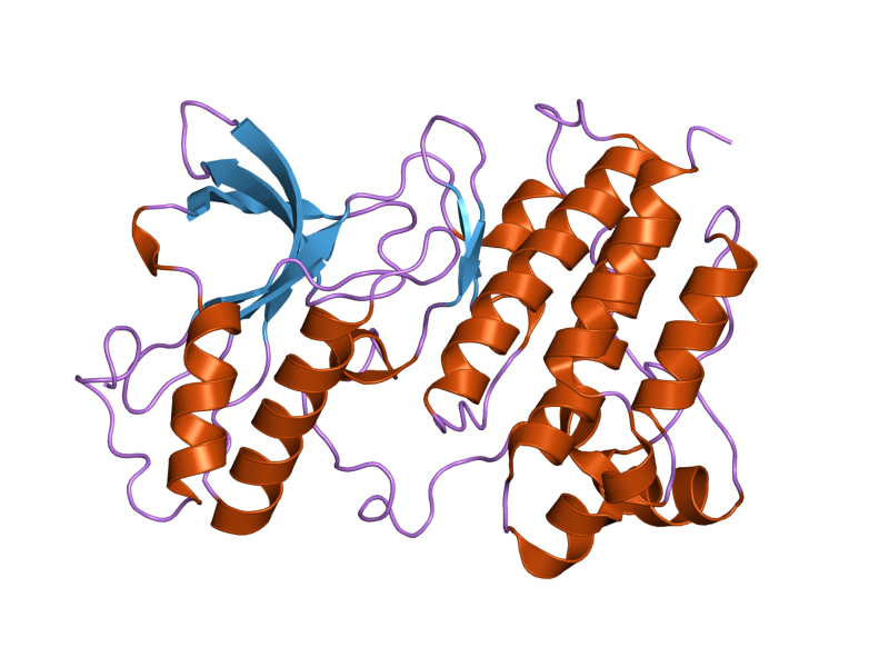 File:PDB 2g15 EBI.png