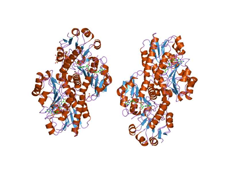 File:PDB 2gcg EBI.png