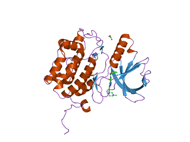 File:PDB 2owb EBI.png