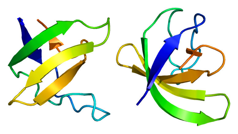 File:Protein SRGAP3 PDB 2gnc.png