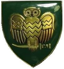 File:SADf era Wynberg Commando emblem.jpg