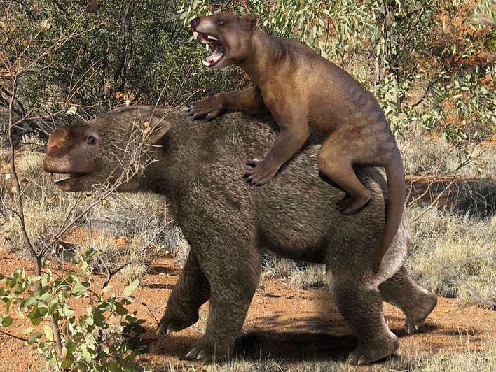 File:Thylacoleo vs Diprotodon 2.jpg