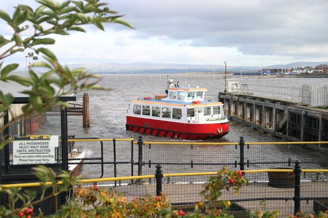 File:Wyre Rose - geograph.org.uk - 1028508.jpg