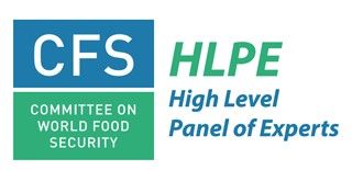 File:CFS HLPE logo.jpg